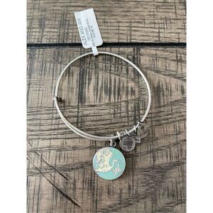 Alex And Ani bracelet